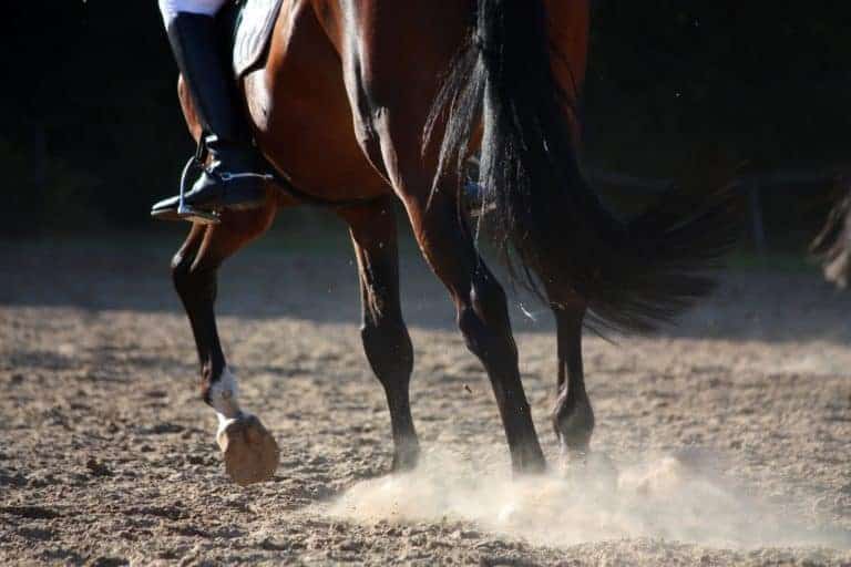 Czy Twój koń może odnieść korzyść z chodzenia boso?