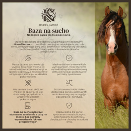 Baza na sucho (20KG)