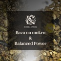 ENERGETYCZNY TŁUSZCZOWY - Baza na mokro (20kg) + Balanced Power (10kg)