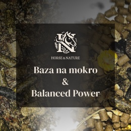 ENERGETYCZNY TŁUSZCZOWY - Baza na mokro + Balanced Power (20kg+10kg)