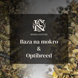 HODOWLANY Baza na mokro + Optibreed 20kg + 10kg