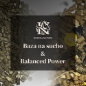 ENERGETYCZNY TŁUSZCZOWY - Baza na sucho (20kg) + Balanced Power (10kg)