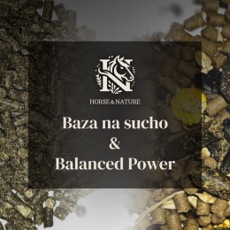 ENERGETYCZNY TŁUSZCZOWY - Baza na sucho + Balanced Power (20kg+10kg)