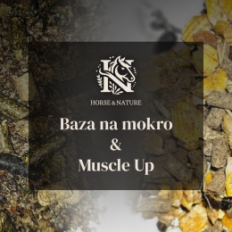 ROZBUDOWA MASY - Baza na mokro (20kg) + Muscle Up (10kg)