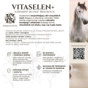 VitaSelen+ Suplement wzbogacający dietę Horse&Nature (10kg)