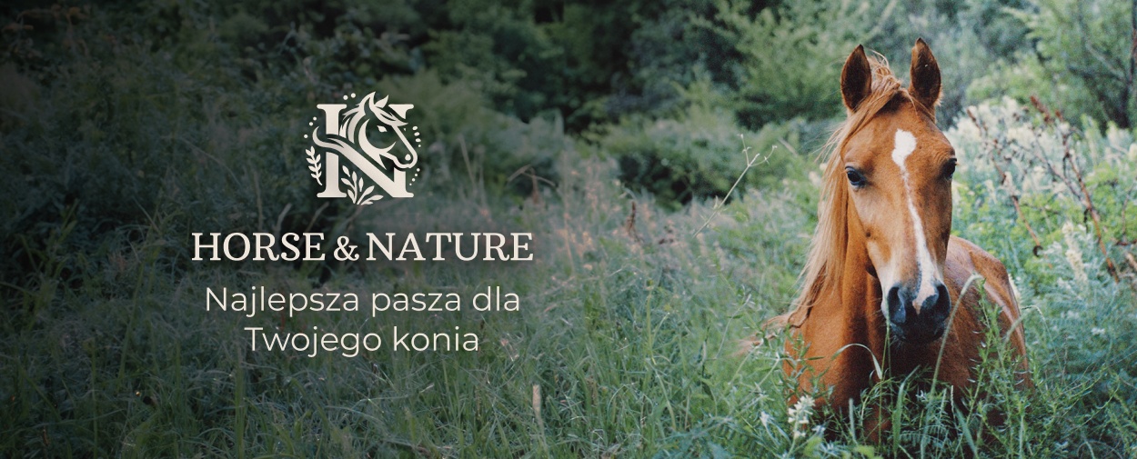 Pasze Horse & Nature - sesja pytań i odpowiedzi