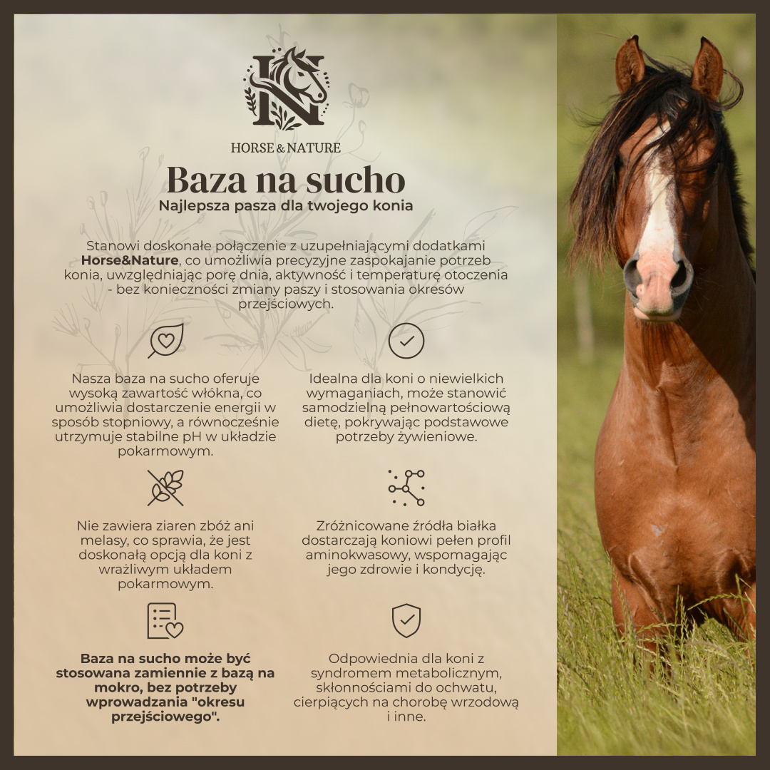 Pasza dla koni Horse & Nature: Klucz do Zdrowego Żywienia