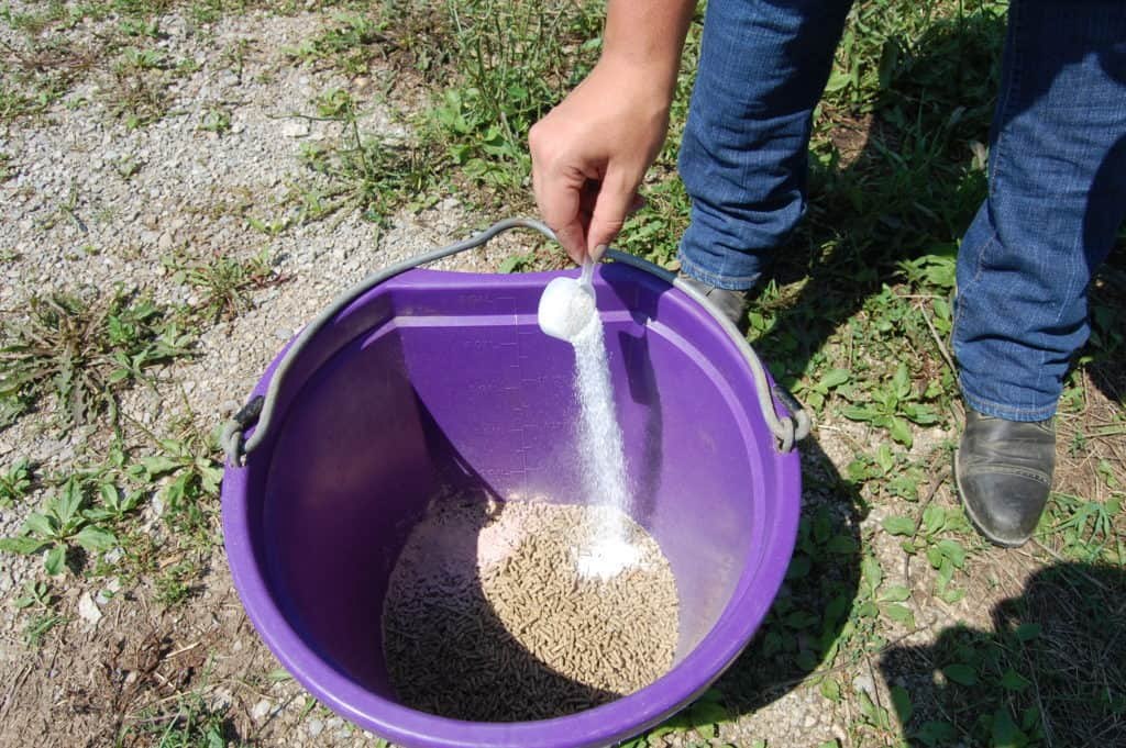 pouring powdered supplement into grain bucket